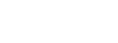 Joy Brush